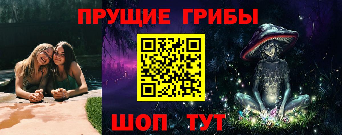 Кинешма  Галлюциногенные грибы MAGIC MUSHROOMS  Псилоцибиновые грибы Cubensis  Вход с VPN 