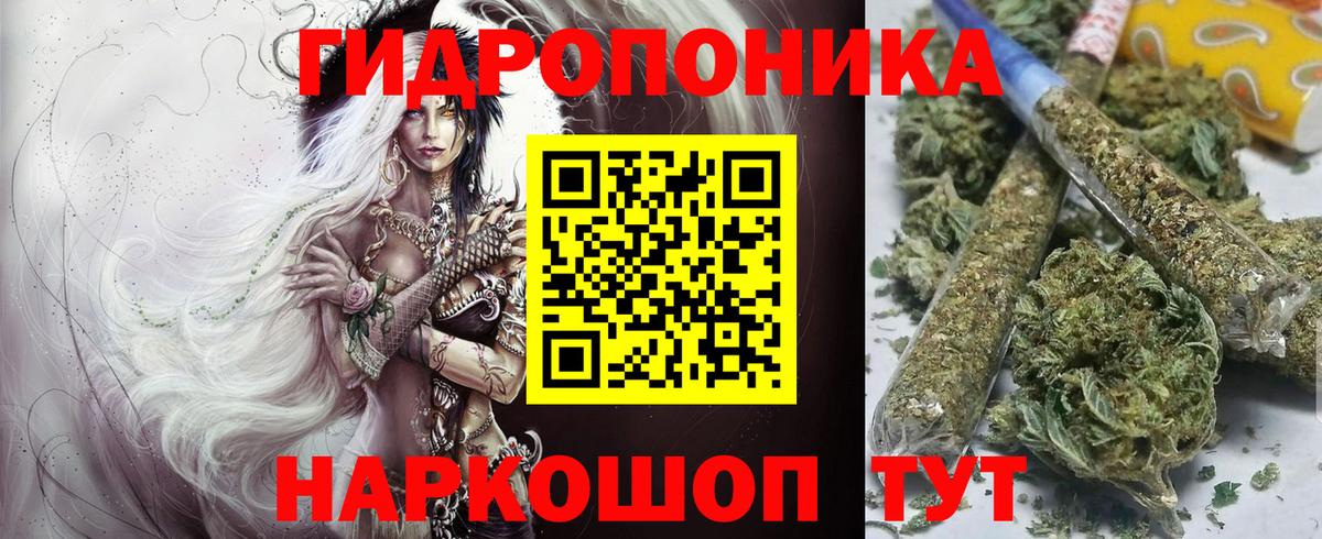 Бошки Шишки марихуана Кинешма